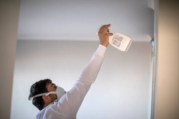 Best Mold Testing  in Sheboygan Falls, WI