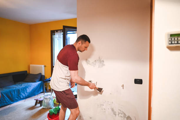 Professional Mold Removal in Sheboygan Falls, WI